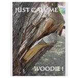 WOODIE 1 AND 2 flyers