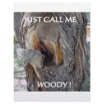 WOODIE 1 AND 2 CUSTOM LETTERHEAD