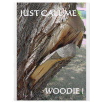 WOODIE 1 AND 2 CUSTOM LETTERHEAD