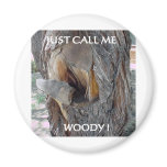 WOODIE 1 AND 2 magnets