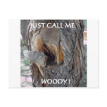 WOODIE 1 AND 2 postcards