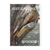 WOODIE 1 AND 2 POSTCARD