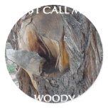 WOODIE 1 AND 2 STICKER