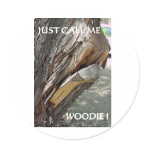 WOODIE 1 AND 2 STICKERS