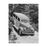 Woodie in the Woods, 1930s postcards