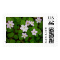woodland anemones postage