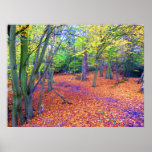 woodland autumn poster