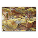Woodland Bees cards by MistyLynn Woodland Bees cards