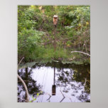 Woodland Birdhouse Posters