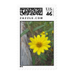 Woodland Bloom Postage Stamp