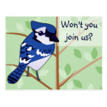 Woodland Blue Jay Invitation POSTCARD