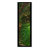 green, brown, bark, tree, plant, trunk, tree