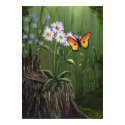 Woodland Butterfly posters