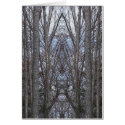 WOODLAND CATHEDRAL cards by dequilla WOODLAND CATHEDRAL cards