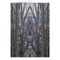 WOODLAND CATHEDRAL cards