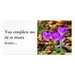 Woodland Crocuses, You complete me in so many way Photo Greeting Card
