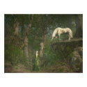Woodland Encounter posters