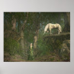Woodland Encounter Poster