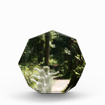 Woodland Fairies Award
