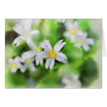 WOODLAND FLOWERS CARD