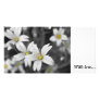 WOODLAND FLOWERS - With love... Photo Cards