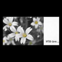 WOODLAND FLOWERS - With love... photo cards