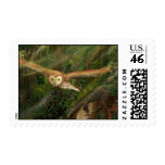 Woodland Green: Barn Owl in Flight stamp
