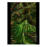Woodland Green - Postcard