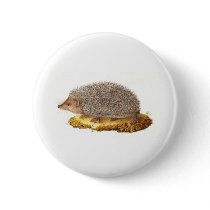 Woodland Hedgehog Pinback Buttons