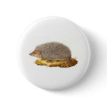 Woodland Hedgehog Pinback Buttons