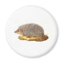 Woodland Hedgehog Refrigerator Magnet