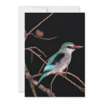 Woodland kingfisher, Mara River Camp, Kenya Invites