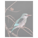 Woodland kingfisher, Mara River Camp, Kenya Custom Letterhead
