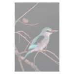 Woodland kingfisher, Mara River Camp, Kenya Stationery