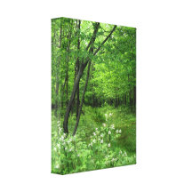 Woodland Path Canvas Prints