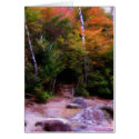 Woodland Path cards by tamays Woodland Path cards
