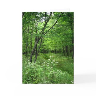 Woodland Path card