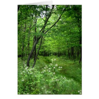 Woodland Path Earth Day zazzle_card