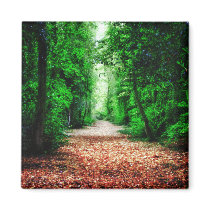 Woodland Path fridge magnet