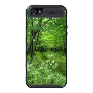 Woodland Path iPhone 5 Cases