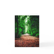 Woodland Path note cards cards