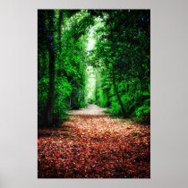Woodland Path Print
