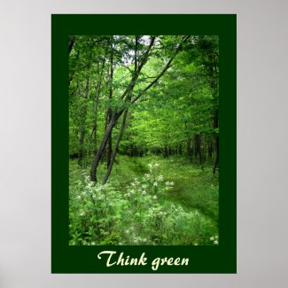 Woodland Path Think Green Posters