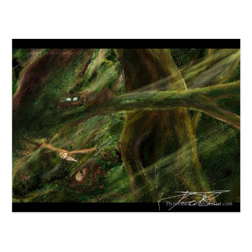 Woodland Post Cards