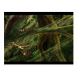 Woodland Postcards