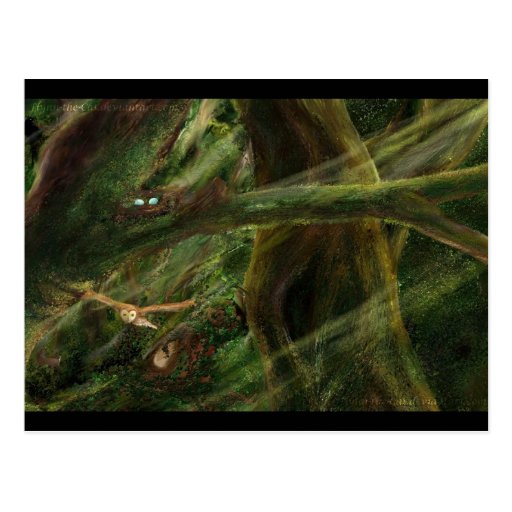 Woodland Postcards