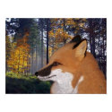 Woodland Prince Poster posters