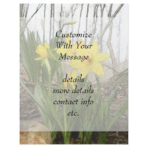 Woodland Scene - Daffodils Flyers