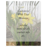Woodland Scene - Daffodils flyers