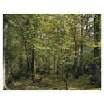 Woodland scene from the Forest flyers